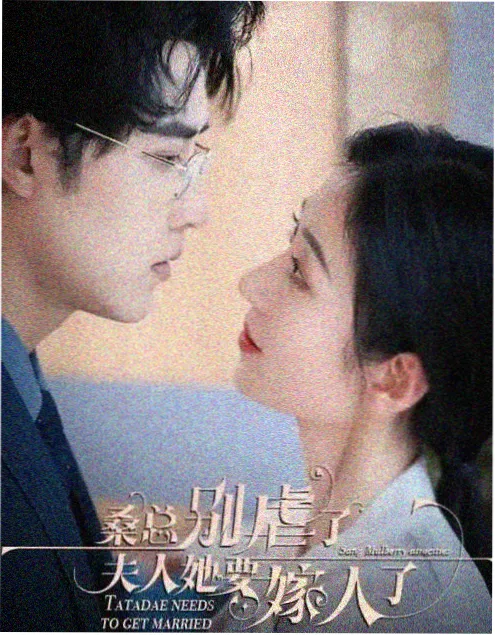 免费追剧网站 锦上添花 古装剧
